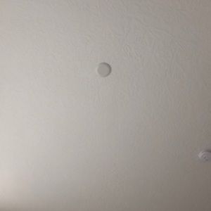 Meet your Posher, Ariel